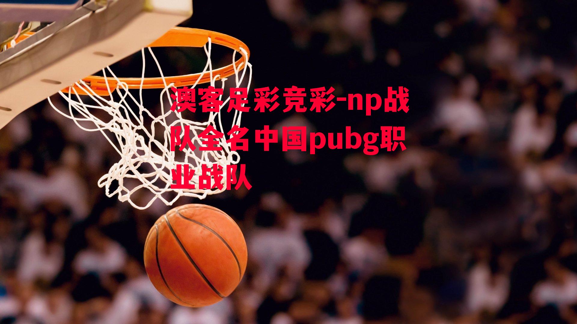 np战队全名中国pubg职业战队